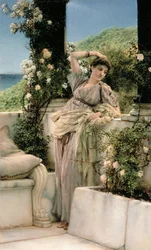 ‘Jij, roos van alle rozen’, 1885